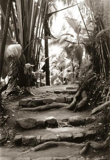 Seychelles. © Etienne Pierart.